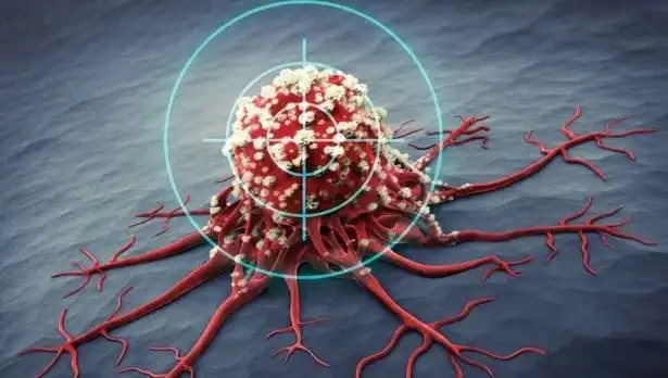 Prostat Kanserine Karşı Savaşan 6 Süper Besin: Sağlığınızı Koruyun