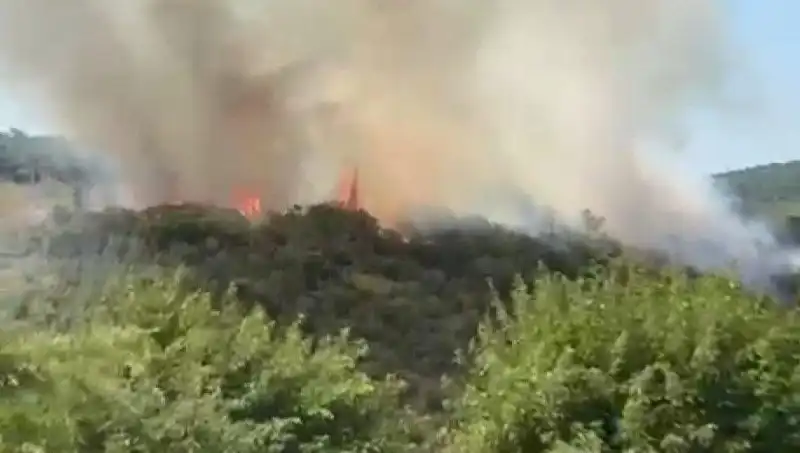 İstanbul'daki Orman Yangınında Neler Yaşandı? Vatandaşlar Tahliye Edildi