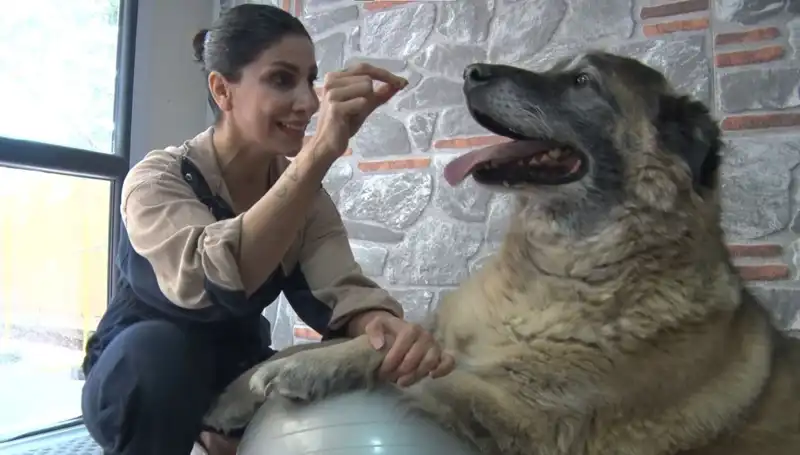 Obeziteyle Mücadele: 55 Kilo Verme Hikayesi ile Duman’ın Dönüşümü