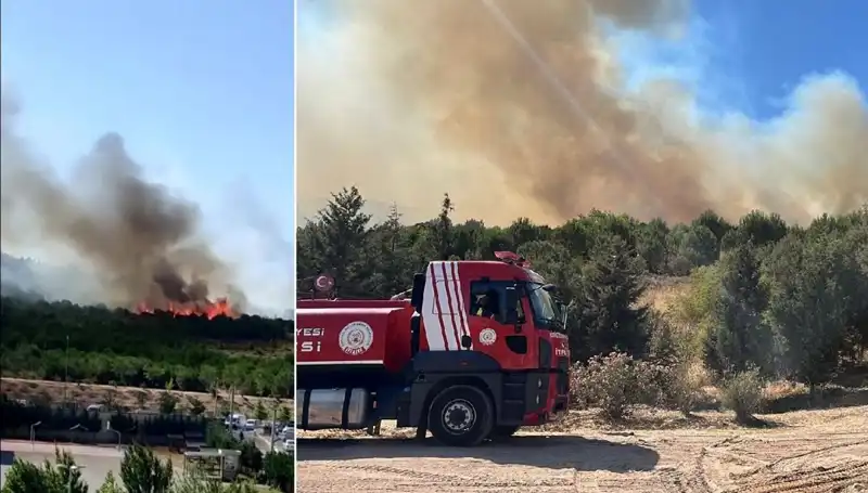 : Gebze’de Sıcak Müzakereler: Orman Yangını Nelere Yol Açtı?