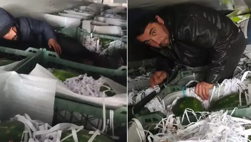 Karpuzların Arasından Çıkan Göçmenler: Sıradışı Olay Ne Anlama Geliyor?